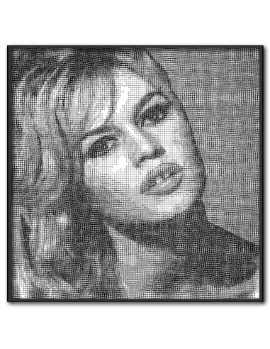 Collell - Plexi'Art " Bardot 1 " Venez acheter