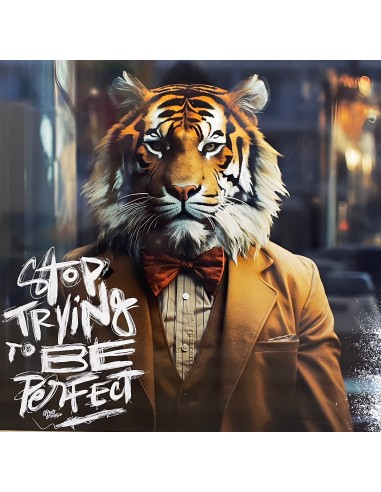 Urban3dart "Stop Trying to Be Perfect" pas cheres