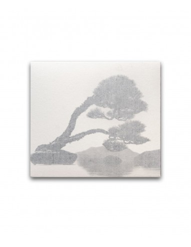 MASAO YAMAMOTO - BONSAI Découvrez la collection