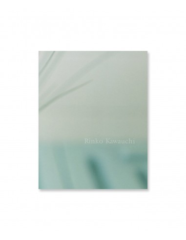 RINKO KAWAUCHI EARLY WORK 1997 En savoir plus