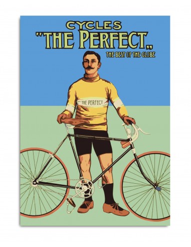 Affiche Cycles The Perfect commande en ligne