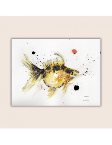 Affiche - Golden Fish - Watergame Profitez des Offres !